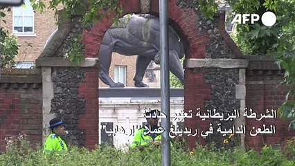 الشرطة البريطانية تعتبر حادثة الطعن الدامية في ريدينغ عملاً "إرهابياً"