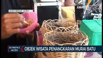 Objek Wisata Penangkaran Murai Batu