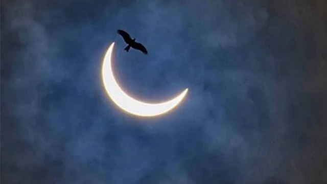 Watch: Top 25 magnificent pictures of Solar eclipse