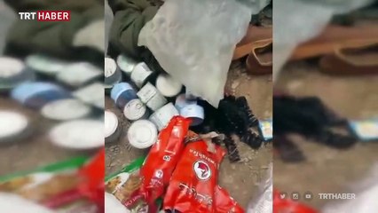 Komandolar Irak'ın kuzeyindeki terör inlerini imha etmeye devam ediyor