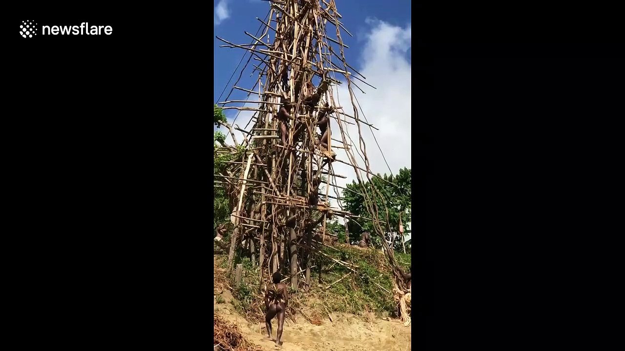 Death-defying 'land-jumping' ritual seen on island of Vanuatu
