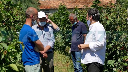 IMPUTET BUJQESORE PA TVSH, JEP EFEKT LIGJI PER PRODUKTET PLEHERUESE - News, Lajme - Kanali 7