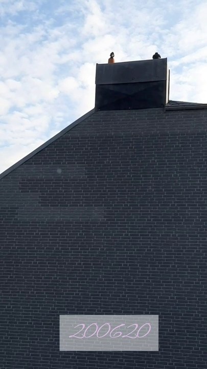 Corona Tag 96& 97 Fitness und langweiliger Sonntag