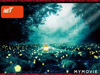 BEAUTIFUL night  natures