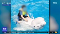 [뉴스터치] '벨루가' 등 타고 서핑…동물학대 논란