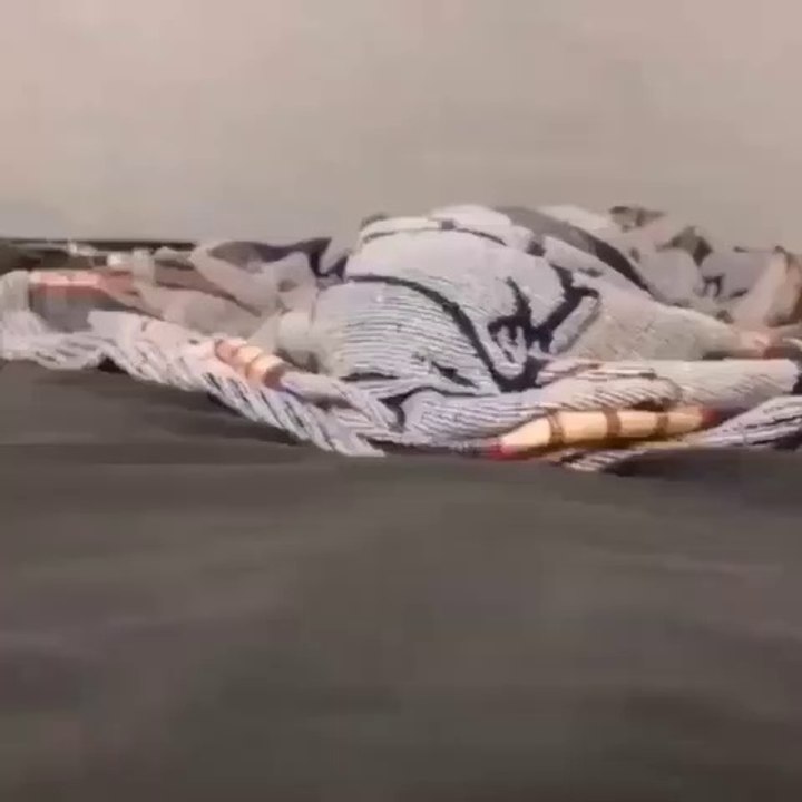 Naughty cat,funny cat videos,cute cat videos,an...
