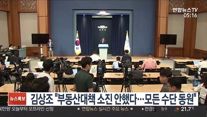 김상조 "부동산대책 소진 안했다…모든 수단 동원할 것"