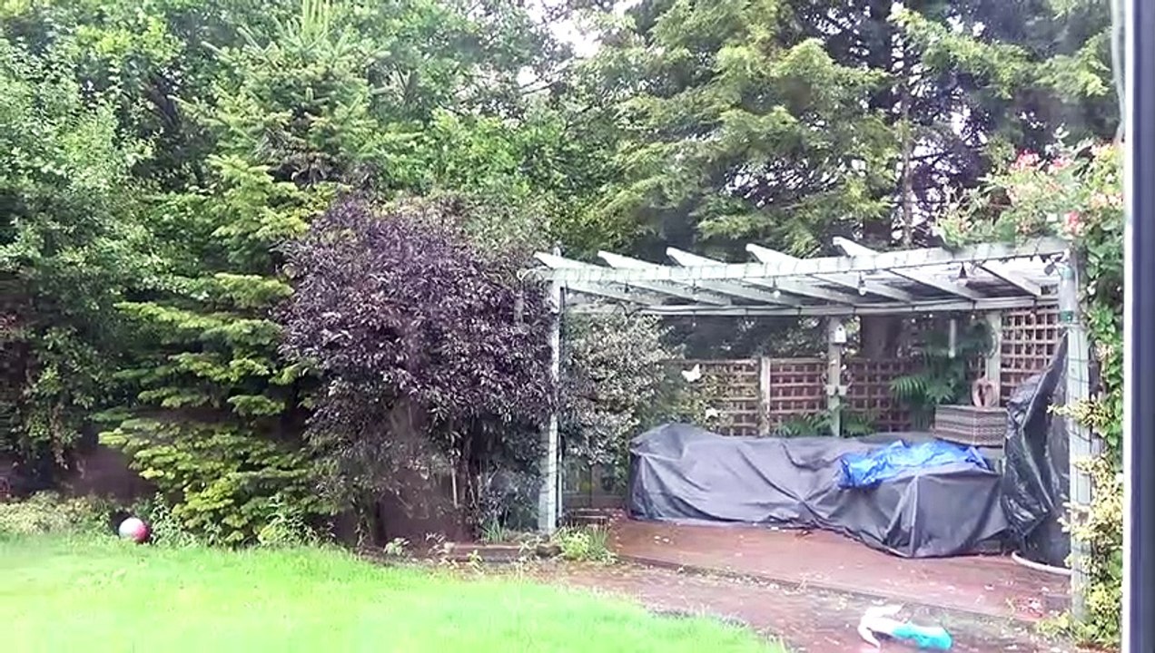 Sophia,  Isabella e Alice e o Bebê Noah Rotina da Manhã