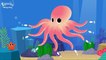 Sea animals : Nursery rhymes for kids // learning with animated cartoons