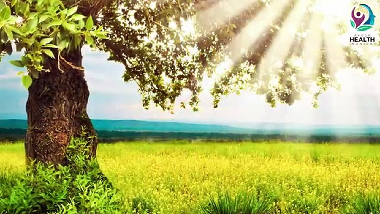 चिलचिलाती गर्मी से है परेशान राहत दिलाएगा शीतली प्राणायाम', जानें इसको करने का तरीका