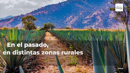 Las diferencias entre jabon Zote: rosa, blanco y azul