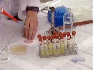 How Its Made - 006 Mozzarella Cheese
