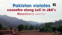 Pakistan violates ceasefire along LoC in J&K’s Nowshera sector