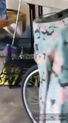 Cet énorme serpent se balade dans le garage !