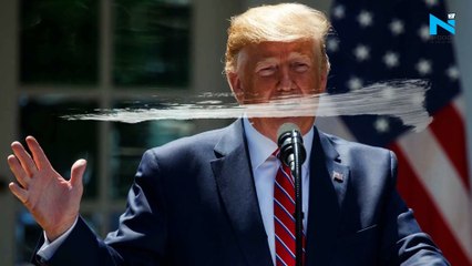 Donald Trump to order new H-1B visa curbs in plan that may hit 240,000