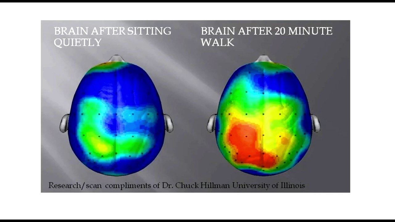 Neuroscience Research,Professor Helmut Butzkueven, Brain Health.