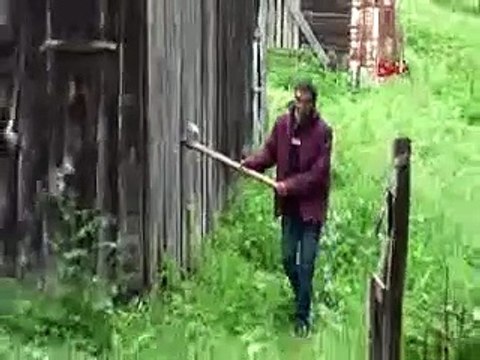 Karadeniz’de popülasyonu artan ayılar korkutuyor