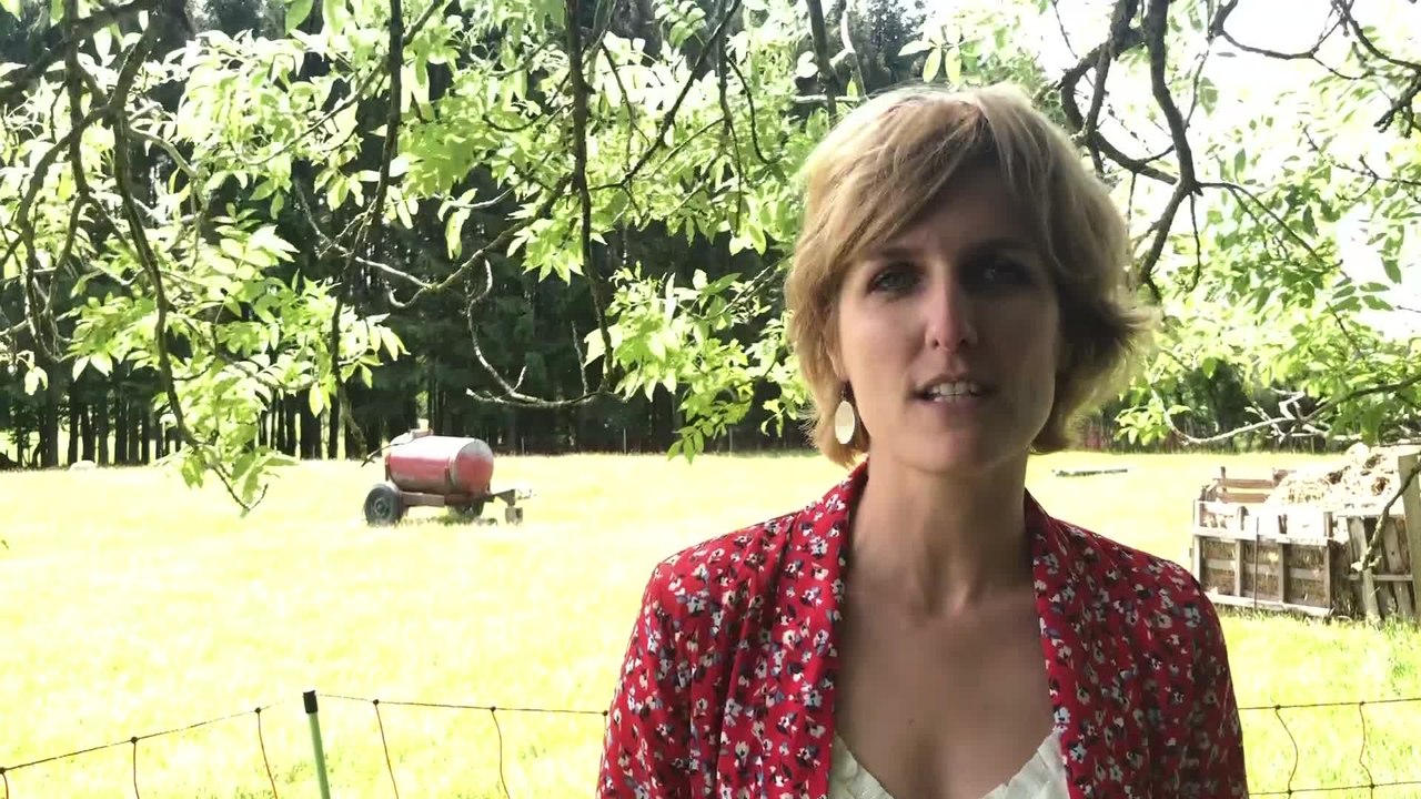 La Wallonie veut développer une cohabitation harmonieuse entre le loup et l'homme (Céline Tellier/ Ministre wallon de l’environnent)