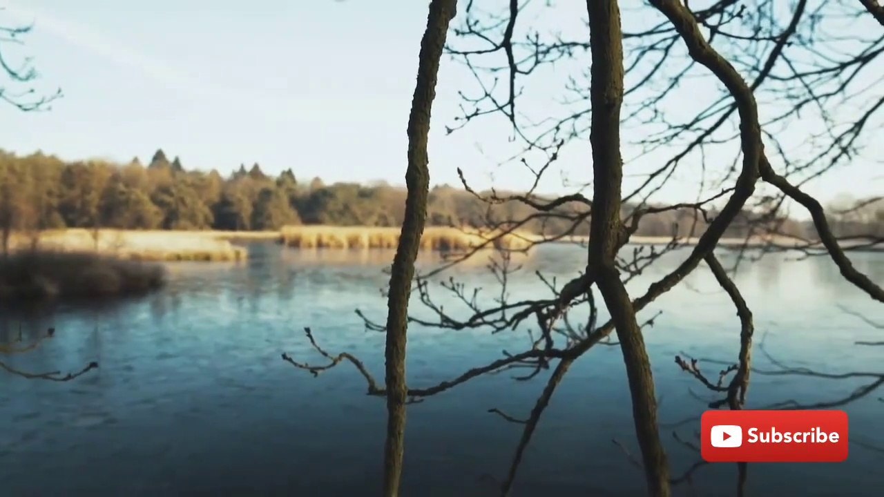 Real haunted pond _ fear files 2020 _ gulli bulli _ aahat _ fear files _ horror movies 2020