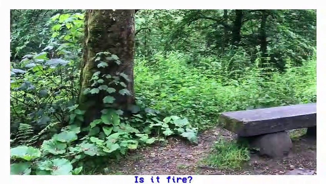 the last of us : soot