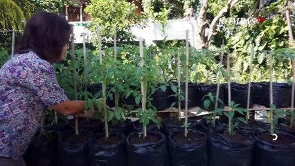 Produktif Saat Pandemi Covid-19