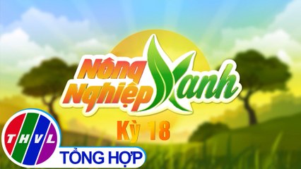 Nông nghiệp xanh - Kỳ 18: Sản xuất trái cây thích ứng đa dạng hóa thị trường