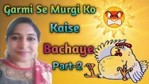 Garmi Se Murgi ko Kaise Bachaye | Poultry Farming in summer | Garmi me murgi palan
