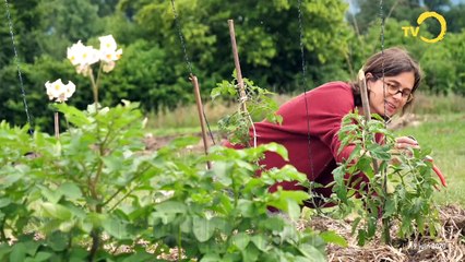 sans commentaire: Ferme permacole des Evaux