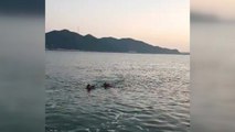30대 남성 생존 수영으로 10여 분 버티다 해경에 구조 / YTN