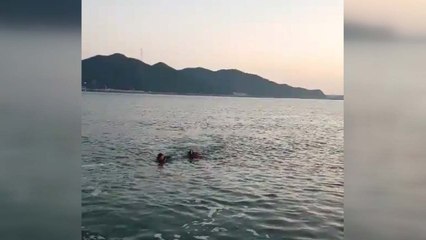 30대 남성 생존 수영으로 10여 분 버티다 해경에 구조 / YTN