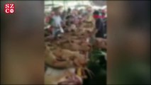 Çin'de köpek eti festivalinden ilk görüntülere tepkiler çığ gibi
