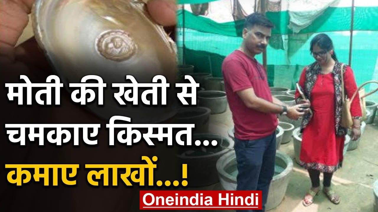Viral Video : मोती की खेती से चमकाए किस्मत...कमाए लाखों...! | वनइंडिया हिंदी
