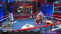 Edwin Palomares vs Carlos Ornelas Full Fight 20-06-2020