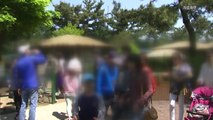 [뉴있저] 제주도, 해열제 10알 먹고 여행한 관광객에 손해배상 소송 / YTN