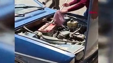 Otomobilin motoruna giren yılanı eliyle çıkardı