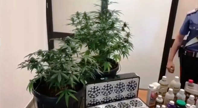 Castiglione Torinese (TO) - Stanza segreta con serra di marijuana (22.06.20)