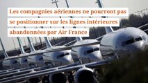 Les compagnies aériennes ne pourront pas se positionner sur les lignes intérieures abandonnées par Air France