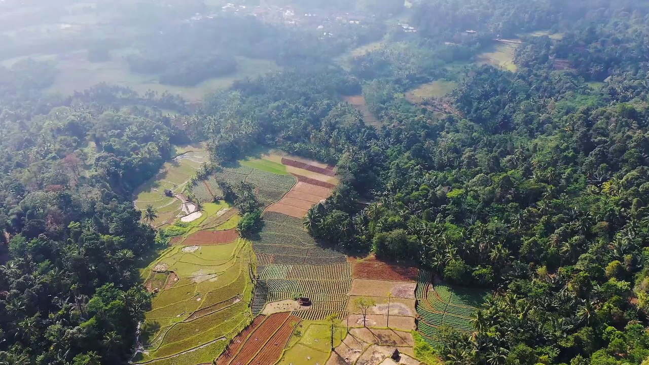 video (3)