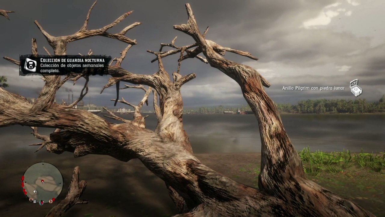 Red Dead Redemption 2 Online Localización de Objetos Colección de Guardia Nocturna