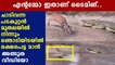 viral video of deer escaping from a crocodile  | Oneindia Malayalam