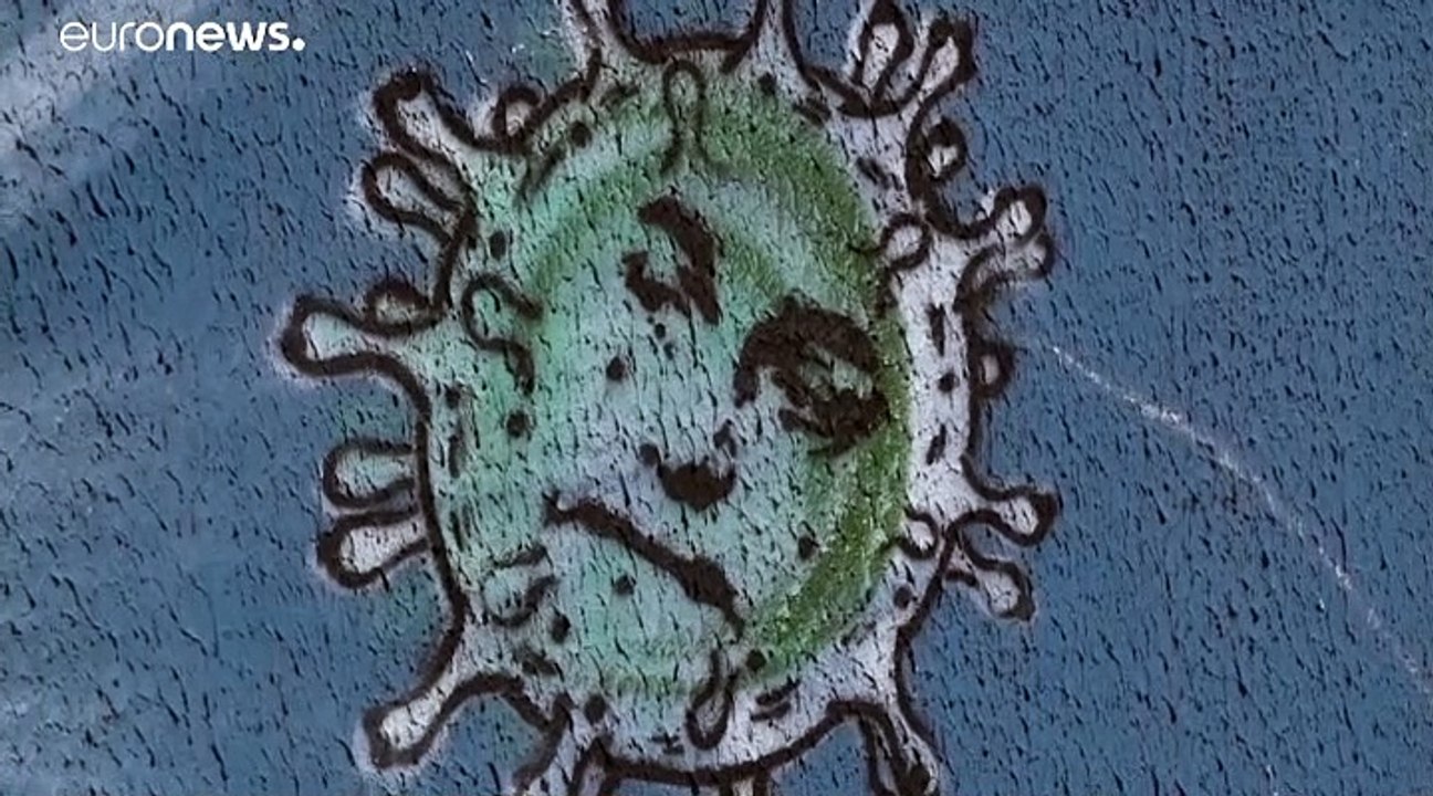 Covid-19 : le Brésil passe la barre du million de cas et des 50 000 décès