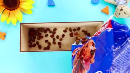 13 Asombrosos Trucos Para La Vida Con Perros y Gatos