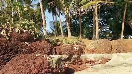 kadalundi briz kelala malappuram , see kadalundi briz . river kadalundi . bech kadalundi . kerala .