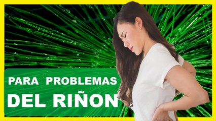 cola de caballo para limpiar los riñones