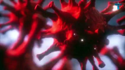 Top 15 Wild Animals Caught On Camera During Lockdown