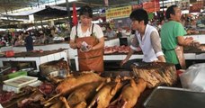 Chine : malgré l'interdiction de manger de la viande de chien et de chat, le festival de Yulin vient d'ouvrir ses portes