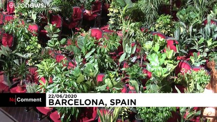 Растениям на концерт можно без масок