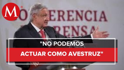 AMLO: Ante inseguridad y violencia no actuaremos como avestruz