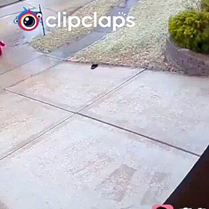 Ops