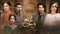 Tum Ho Wajah Episode 10 Promo HUM TV Drama